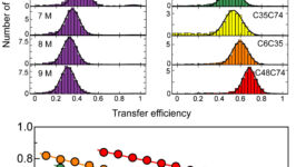 Mapping denaturant-induced unfolded state expansion (Aznauryan et al. 2016)