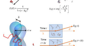 Integrative investigation of denaturant-induced unfolded-state expansion (Borgia et al. 2016)