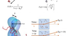 Integrative investigation of denaturant-induced unfolded-state expansion (Borgia et al. 2016)