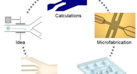 Design cycle for microfluidics (Wunderlich, unpublished)
