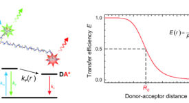 Förster resonance energy transfer (Schuler 2013)
