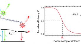 Förster resonance energy transfer (Schuler 2013)