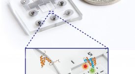 Double-jump microfluidic mixing device (Dingfelder et al. 2017)