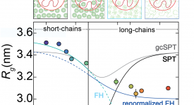 Polymer effects in macromolecular crowding (Soranno et al. 2014)