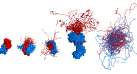The spectrum of disorder in protein complexes (Schuler et al. 2020)