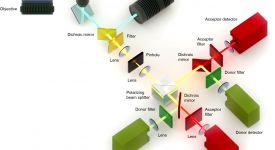 Four-channel confocal single-molecule instrument (Plitzko et al. 2017)