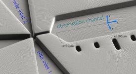 Mixing region of a microfluidic mixing device (electron micrograph, Wunderlich et al. 2013)
