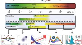 Timescales accessible with single-molecule spectroscopy (adapted from Hofmann & Schuler 2013)