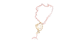 Simulation of Nucleic Acid Chaperoning by a Disordered Protein (Holmstrom et al. 2019) Holmstrom_EDMovie1