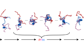 Competitive substitution of H1 and ProTa (Sottini et al. 2020)