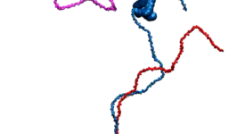 Competitive Substitution via ternary complex formation of H1 and ProTa (Sottini et al. 2020) movie1