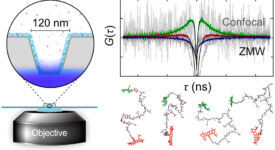 Enhancing nsFCS with Nanophotonics Enhancing nsFCS with Nanophotonics