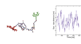 All-atom MD of disordered peptide All-atom MD of disordered peptide