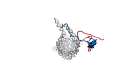 Competitive Substitution on the Nucleosome Competitive Substitution on the Nucleosome