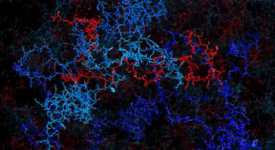 MD Droplet MD Droplet